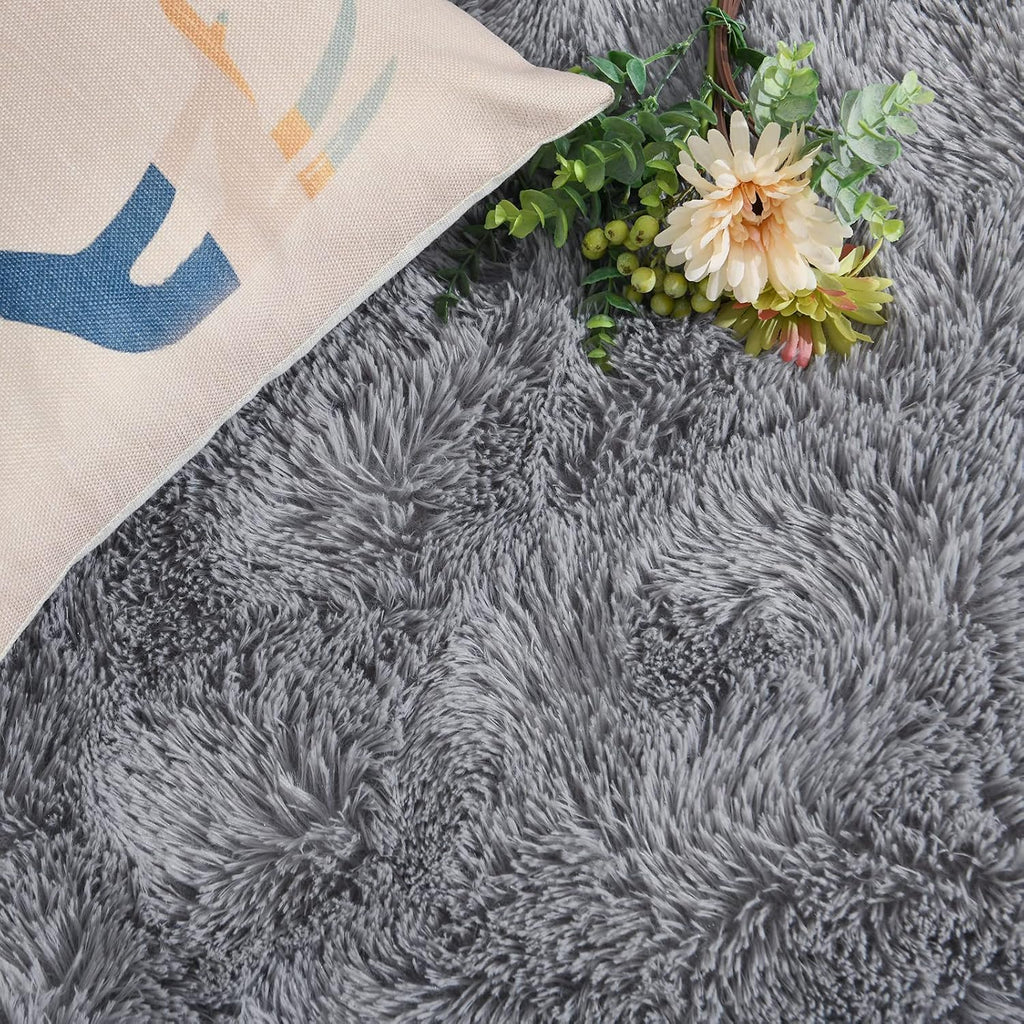 Fluffy Grey Rugs for Bedroom Living Room, 4X6 Feet Soft Plush Shaggy Light Gray Girls Boys Kids Rug, Non-Slip and Machine Washable Carpet for Dorm Nursery Classroom Decor
